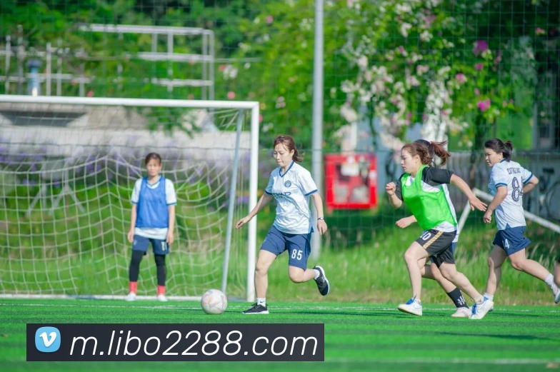 多媒体互动体验